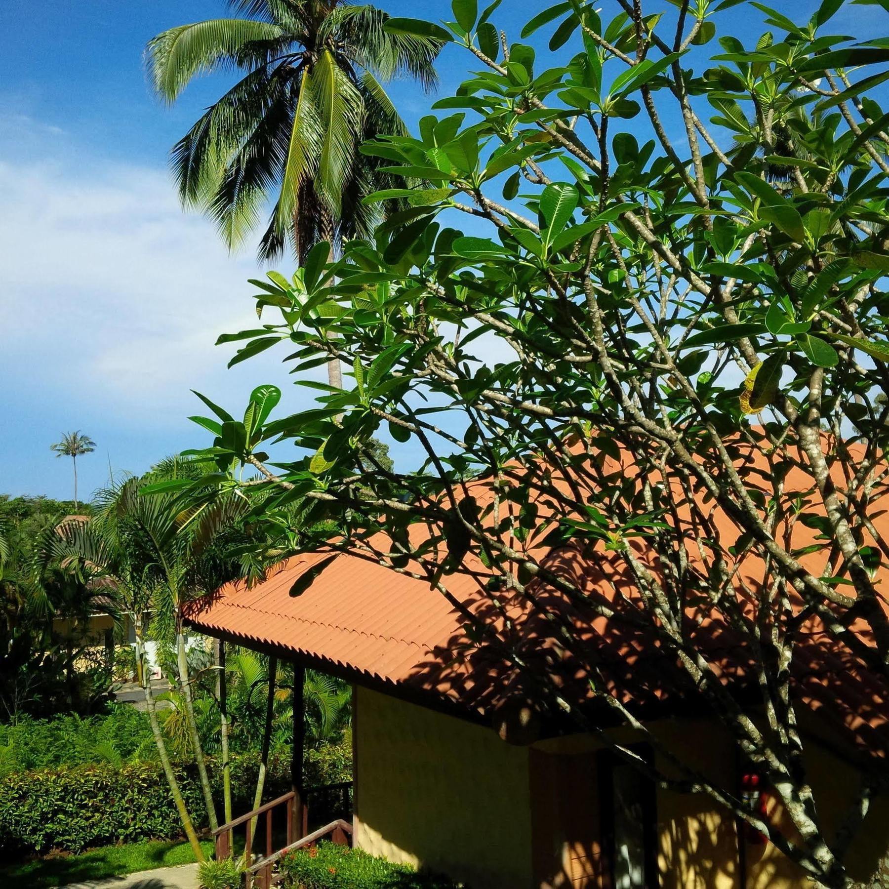 Paradise Bungalows Koh Chang Exterior foto